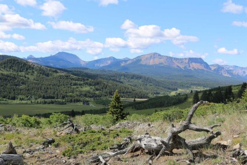 None Hwy 774, Beaver Mines, AB 