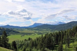 none Hwy 774  Beaver Mines, AB T0K 1W0