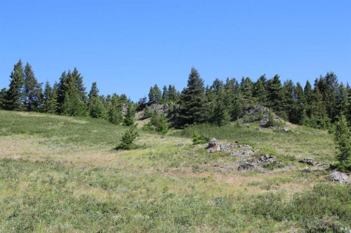 None Hwy 774, Beaver Mines, AB 