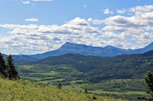 None Hwy 774, Beaver Mines, AB 