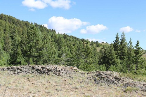 None Hwy 774, Beaver Mines, AB 