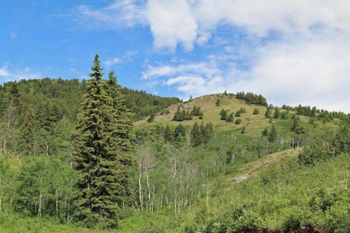 None Hwy 774, Beaver Mines, AB 