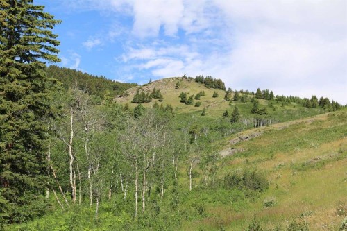 None Hwy 774, Beaver Mines, AB 