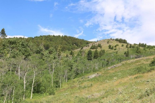 None Hwy 774, Beaver Mines, AB 