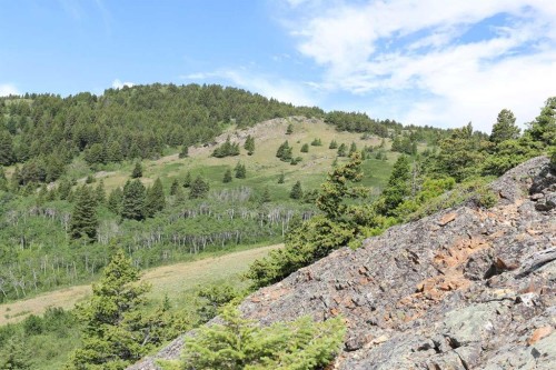 None Hwy 774, Beaver Mines, AB 