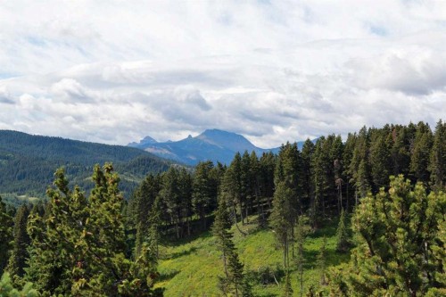 None Hwy 774, Beaver Mines, AB 