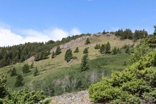 None Hwy 774, Beaver Mines, AB 