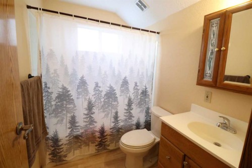 1124 2 Ave, Vauxhall, AB - Indoor Photo Showing Bathroom