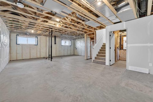 241 Blackwolf Place North, Lethbridge, AB - Indoor Photo Showing Basement