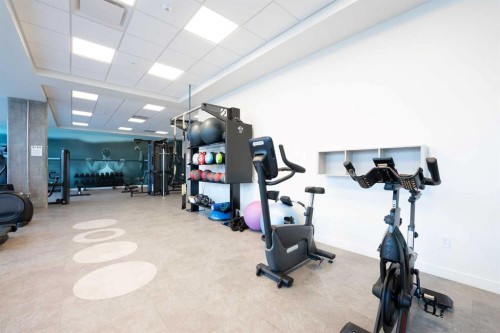 133-102 Scenic Drive North, Lethbridge, AB - Indoor Photo Showing Gym Room