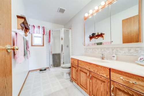 161078 Twp  132 Road, Vauxhall, AB - Indoor Photo Showing Bathroom