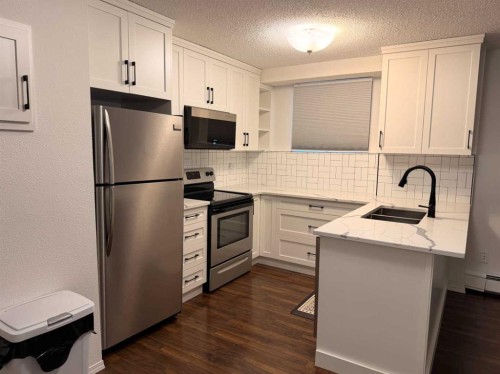 121-1237 4 Avenue South, Lethbridge, AB - Indoor Photo Showing Kitchen With Stainless Steel Kitchen With Double Sink