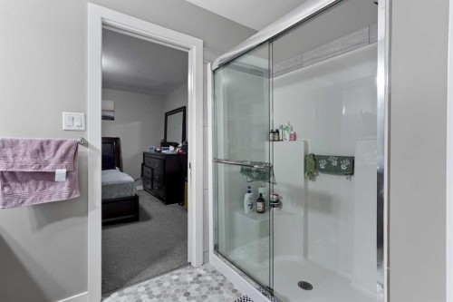 774 Marie Van Haarlem Crescent North, Lethbridge, AB - Indoor Photo Showing Bathroom