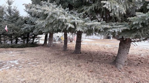 105 4Th Street West, Foremost, AB - Outdoor With View