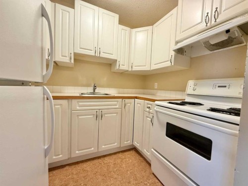307A-295 Columbia Boulevard West, Lethbridge, AB - Indoor Photo Showing Kitchen