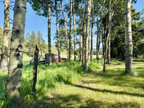 23005 27 Avenue, Bellevue, AB - Outdoor With View