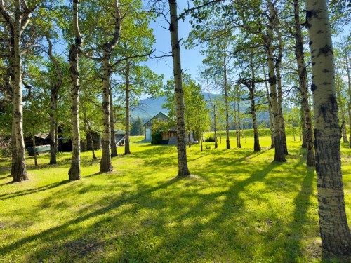 23005 27 Avenue, Bellevue, AB - Outdoor With View