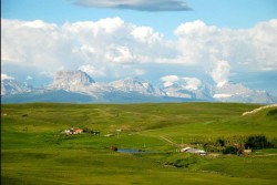 21054 A Range Road 264  Cardston, AB T0K 0K0