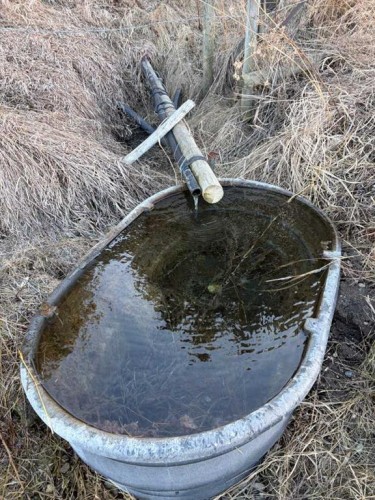 21054 A Range Road 264, Cardston, AB - Outdoor