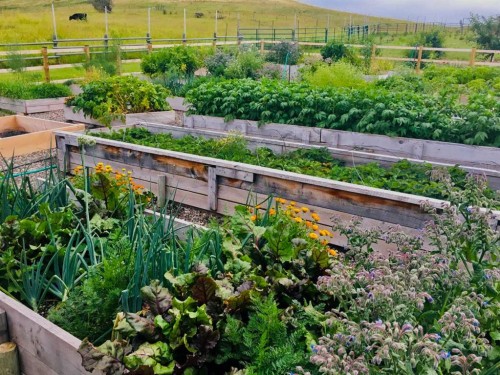 21054 A Range Road 264, Cardston, AB - Outdoor