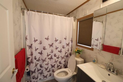 317 4 St, Bow Island, AB - Indoor Photo Showing Bathroom