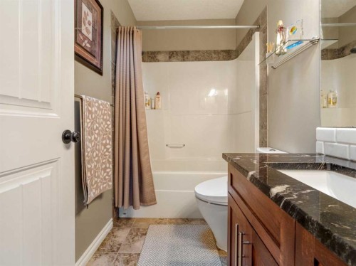 314 Coulee Springs Terrace, Lethbridge, AB - Indoor Photo Showing Bathroom