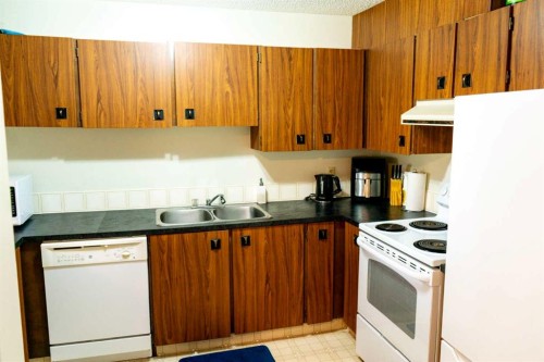 312-75 Temple Boulevard West, Lethbridge, AB - Indoor Photo Showing Kitchen With Double Sink