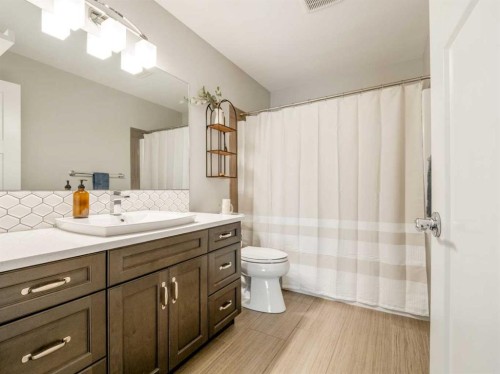 166 Crocus Terrace West, Lethbridge, AB - Indoor Photo Showing Bathroom