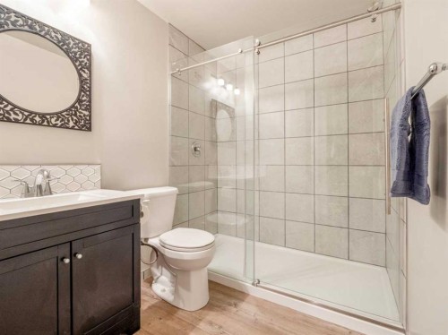 166 Crocus Terrace West, Lethbridge, AB - Indoor Photo Showing Bathroom