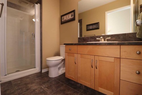 50 Riverbrook Close West, Lethbridge, AB - Indoor Photo Showing Bathroom