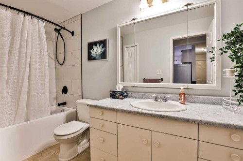 285 Jerry Potts Boulevard West, Lethbridge, AB - Indoor Photo Showing Bathroom