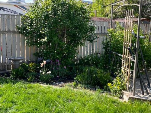 285 Jerry Potts Boulevard West, Lethbridge, AB - Outdoor