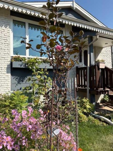 285 Jerry Potts Boulevard West, Lethbridge, AB - Outdoor