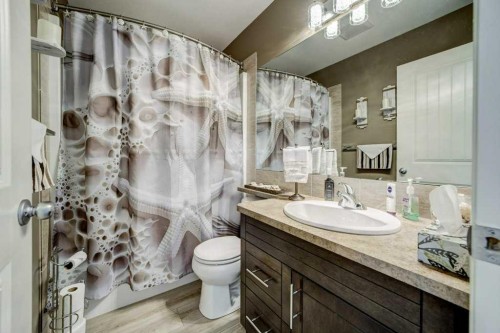 248 Sunridge Road West, Lethbridge, AB - Indoor Photo Showing Bathroom