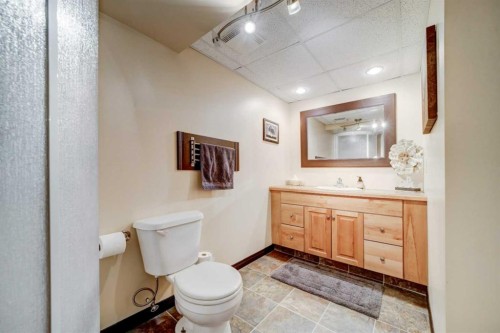 2020 25Th Avenue North, Lethbridge, AB - Indoor Photo Showing Bathroom