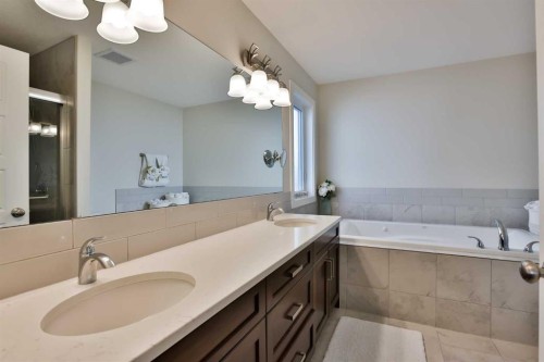 21 Riverford Close West, Lethbridge, AB - Indoor Photo Showing Bathroom