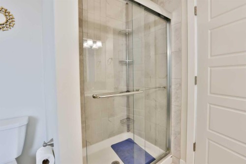 21 Riverford Close West, Lethbridge, AB - Indoor Photo Showing Bathroom