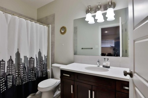21 Riverford Close West, Lethbridge, AB - Indoor Photo Showing Bathroom