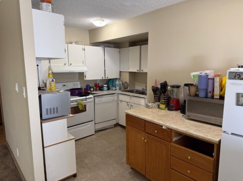 921-21 Berkeley Place West, Lethbridge, AB - Indoor Photo Showing Kitchen