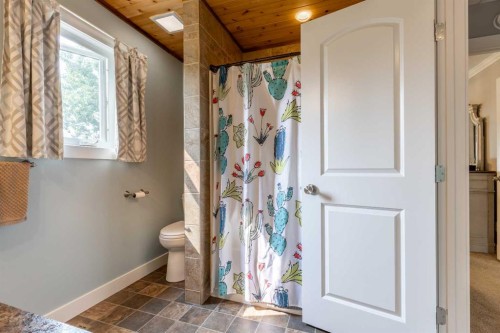 59 1 Street, Orton, AB - Indoor Photo Showing Bathroom