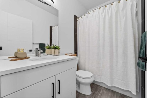 1103 Coalbrook Place West, Lethbridge, AB - Indoor Photo Showing Bathroom