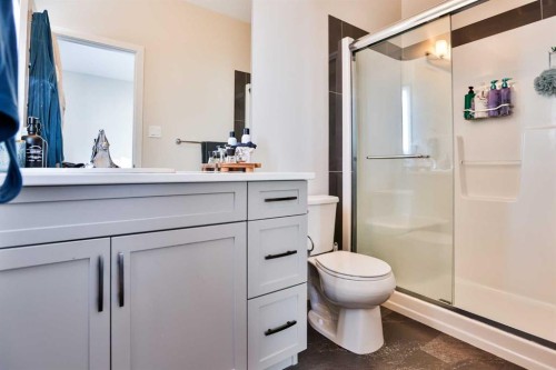 918 Greywolf Run North, Lethbridge, AB - Indoor Photo Showing Bathroom
