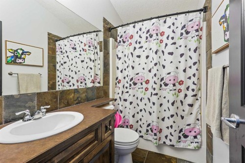 352 Tartan Circle West, Lethbridge, AB - Indoor Photo Showing Bathroom