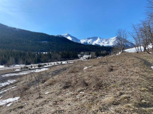 Near 17 Ave. 67 St., Coleman, AB 