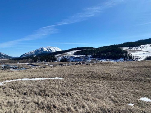 From 17 Ave To 20 Ave, Coleman, AB 