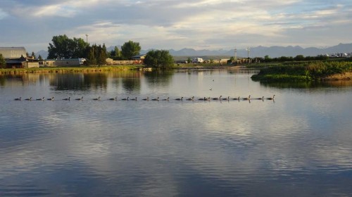 11 Mountain Vista Drive, Hill Spring, AB - Outdoor With Body Of Water With View