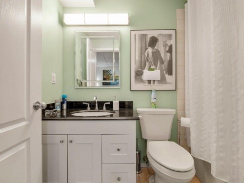 61 Rivercrest Court West, Lethbridge, AB - Indoor Photo Showing Bathroom