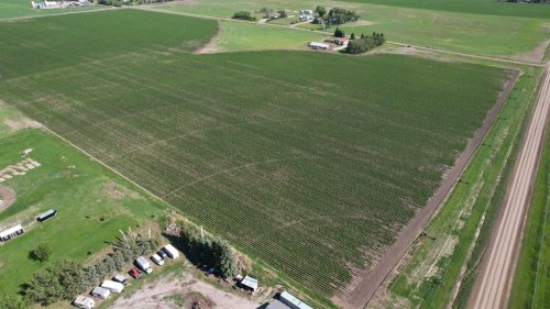 212072 Twp Rd 9-4, Rural Lethbridge County, AB 
