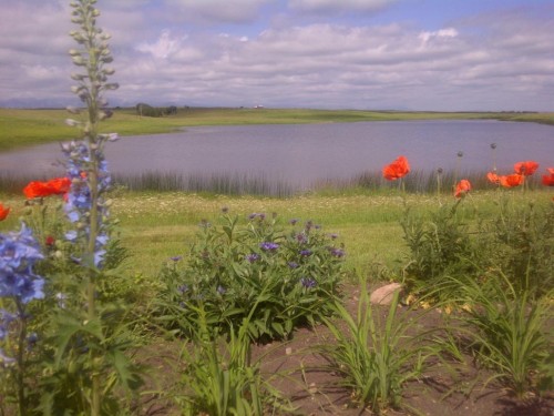 340 4Th Street North, Mountain View, AB 