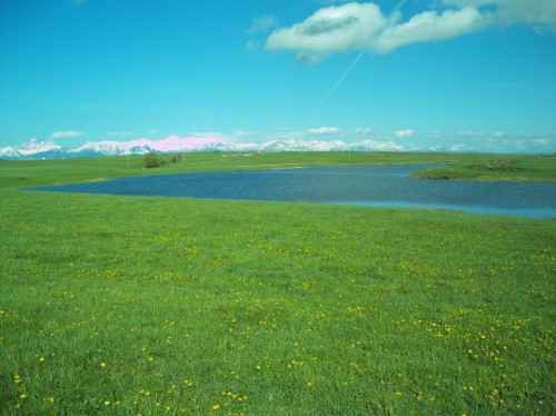 340 4Th Street North, Mountain View, AB 